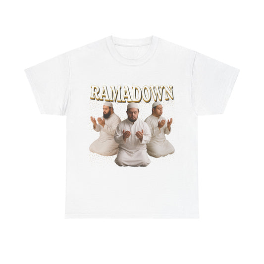 Rama Down Parody Funny T-Shirt
