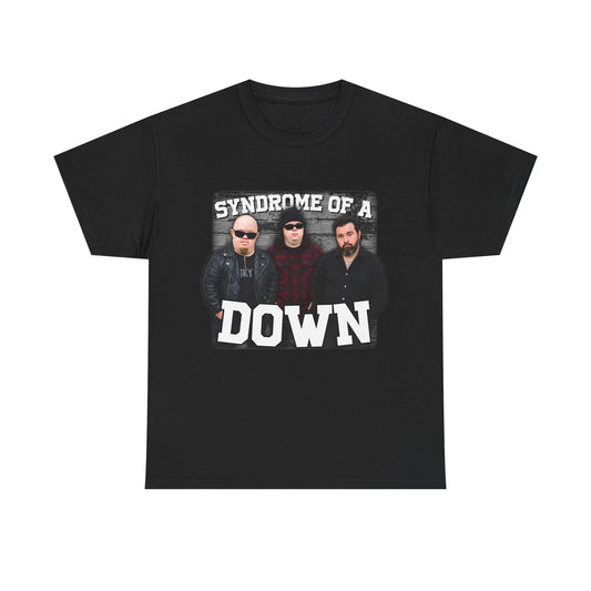 Syndrome Of A Down Parody Funny T-Shirt