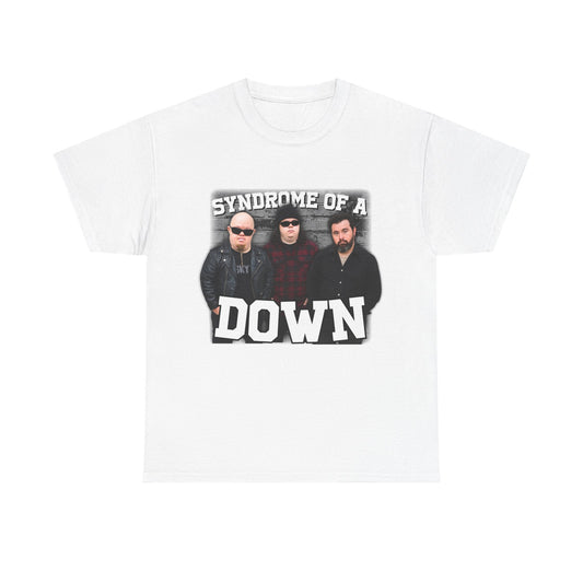 Syndrome Of A Down Parody Funny T-Shirt